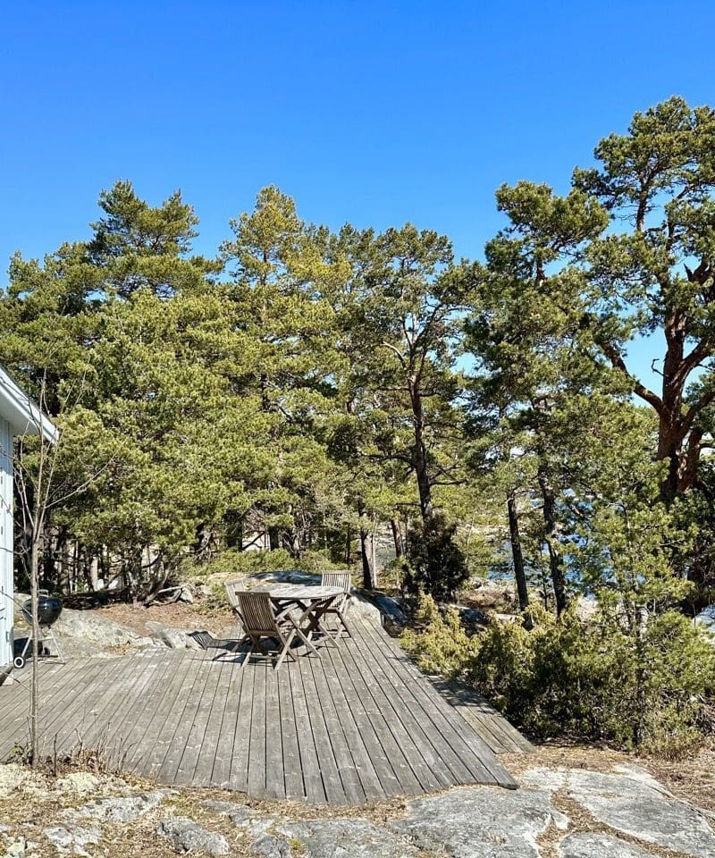 Insikten altan skog hav berg