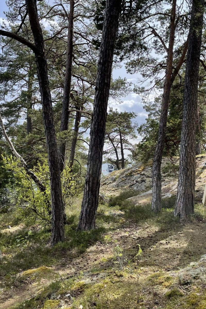 Clamping på Idöborg